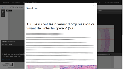 Description de l'annotation 1 ouverte